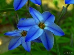 20070322 02.jpg